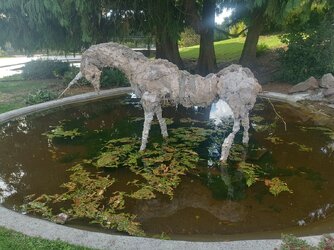 IMG_20250908_182237.jpg