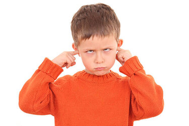 IMG_0583.jpeg IMG_0583.jpeg