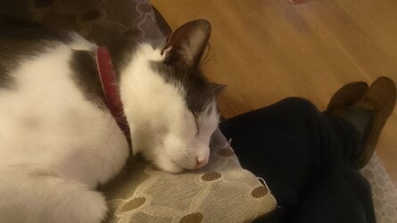 IMG_20260401_224818 (1).jpg