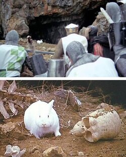 the-killer-rabbit-of-caerbannog-v0-ifbenvi01d2a1.jpg